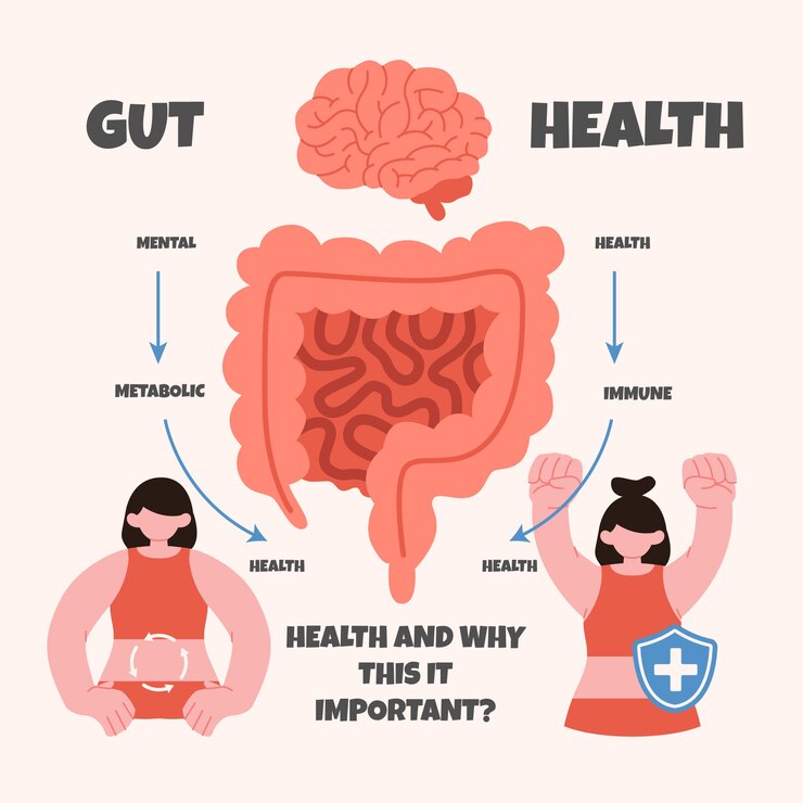 gut-reset